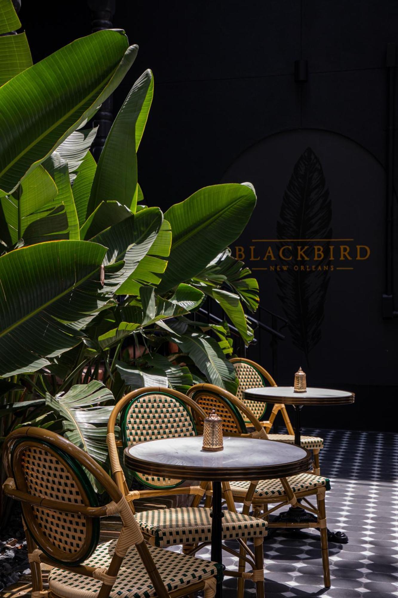 Blackbird Hotel New Orleans  Kültér fotó