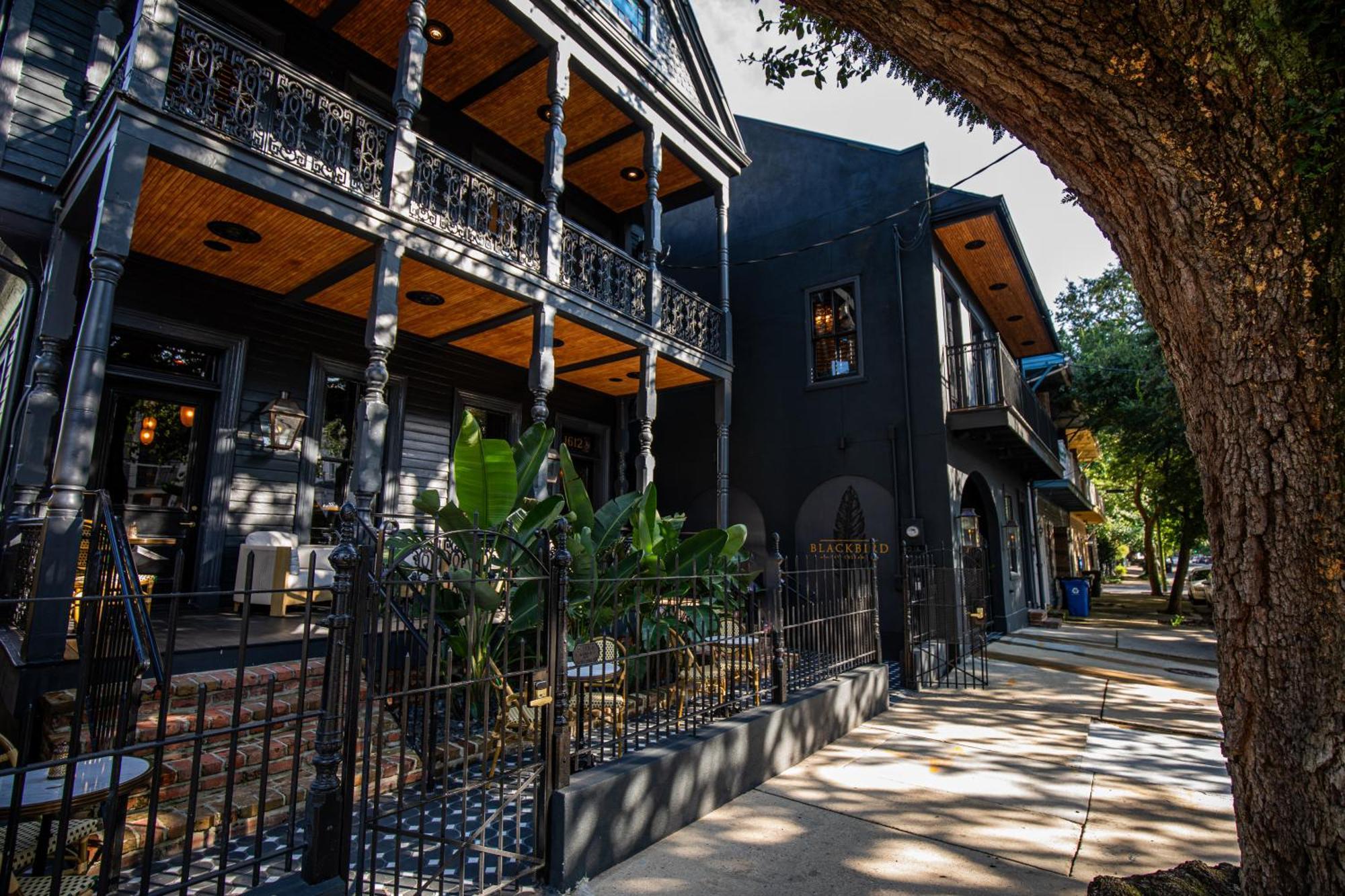 Blackbird Hotel New Orleans  Kültér fotó