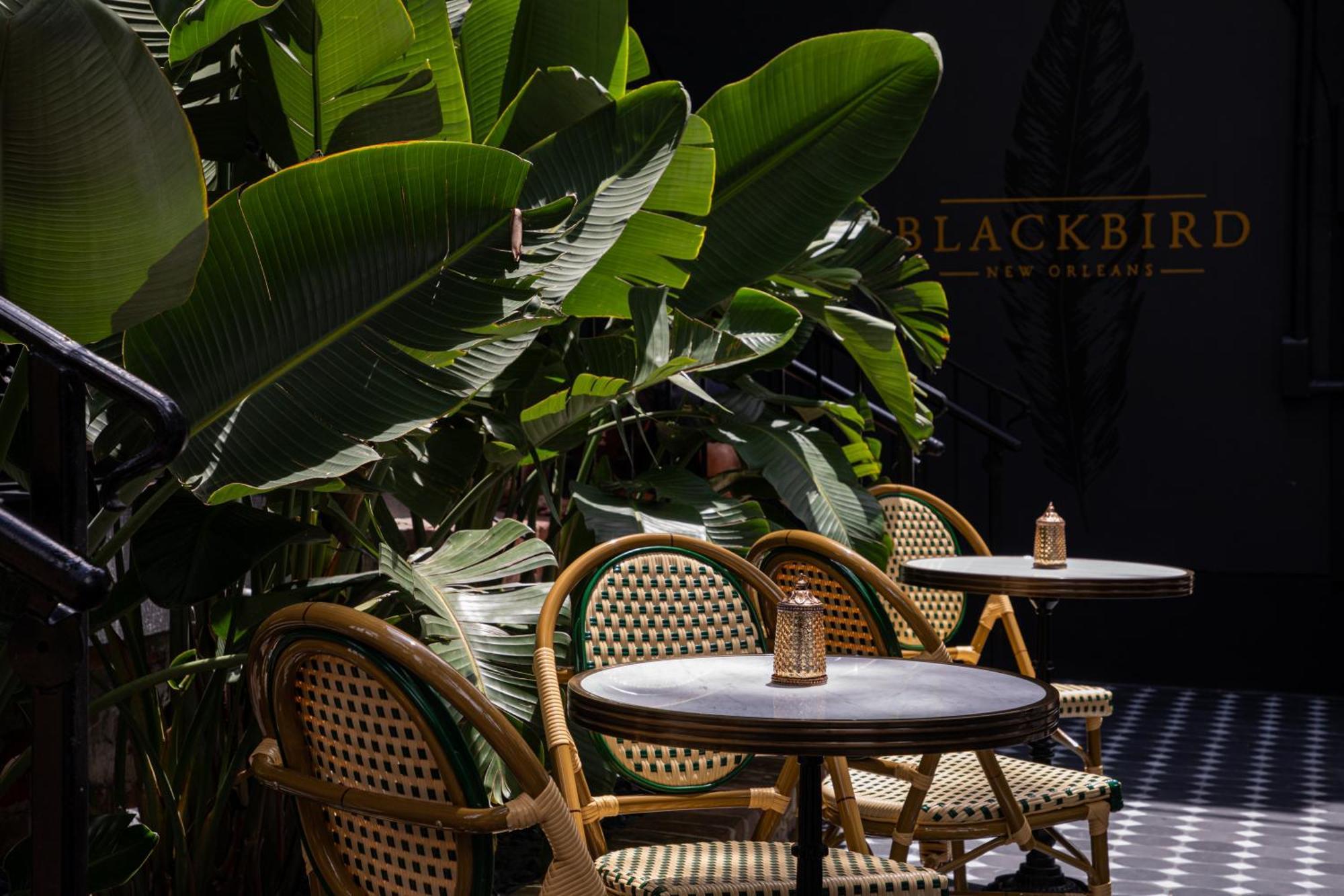 Blackbird Hotel New Orleans  Kültér fotó